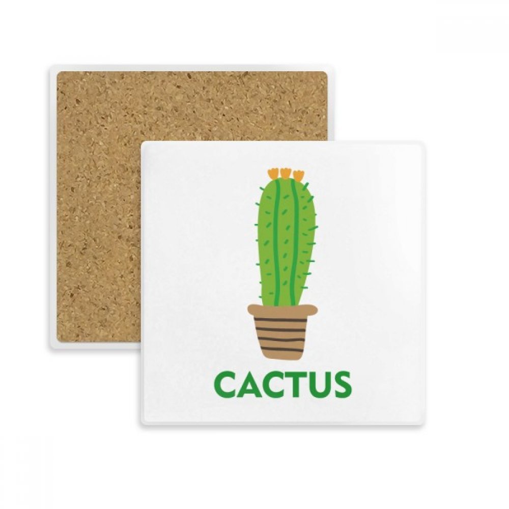 Porte-tasse cactus multicolore en pierre absorbante idée cadeau originale