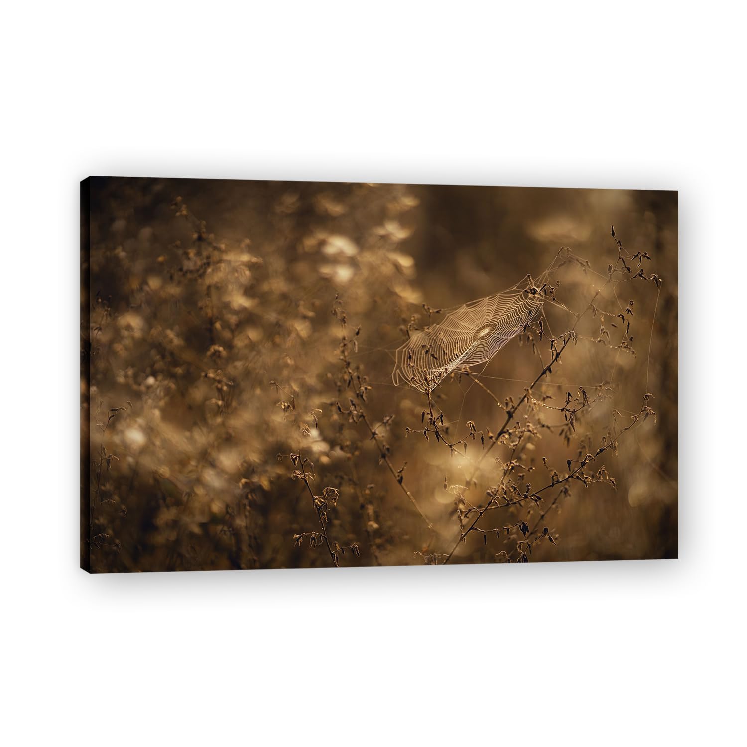 VHdfgTY SpiderwebNature Landscape Wall Art Canvas Mountain Scenery Print Home Decoration 80x120cm Framed