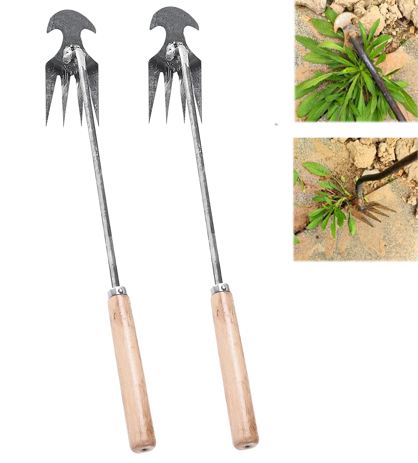 2023 New Weeding Artifact Uprooting Weeding Tool, Premium Manganese Steel Forged Weed Puller 4 Teeth Dual Purpose Weeder, Hand Weeder Tool for Gardening with Long Handle (2PCS Wooden Handle12 lnch)
