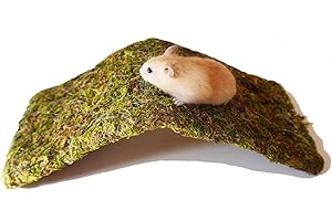 Superb and Flexible Fake Hamster Ladder for perky Pet