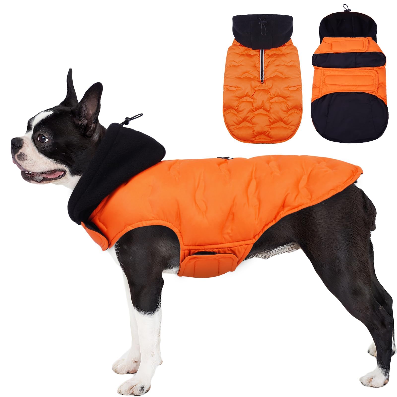 DORA BRIDAL Veste chaude et légère avec capuche pour chien - Veste réfléchissante pour temps froid - Pour chiens de taille moyenne - Orange - Taille M