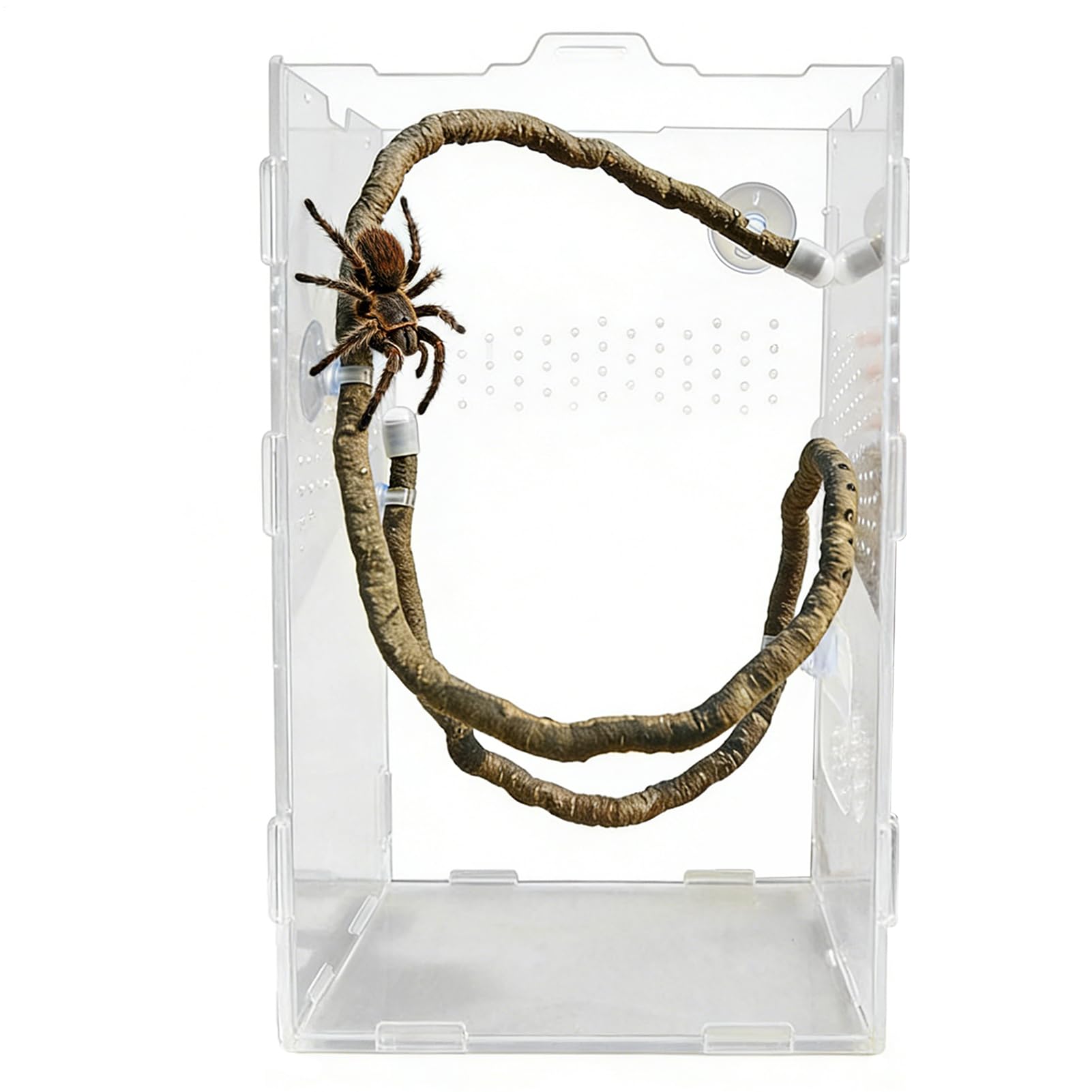 Vines for Reptile Enclosure,Artificial Bendable Climbing Vine,Reptile Tank Accessories with Suction Cups | for Lizards Home Tank Terrarium Enclosure Cage Habitat Geckos