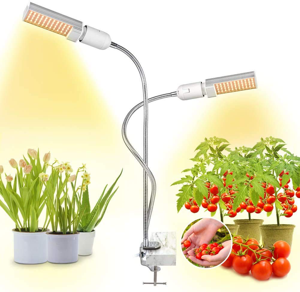 Artificial Lighting For Plants Decor For You
