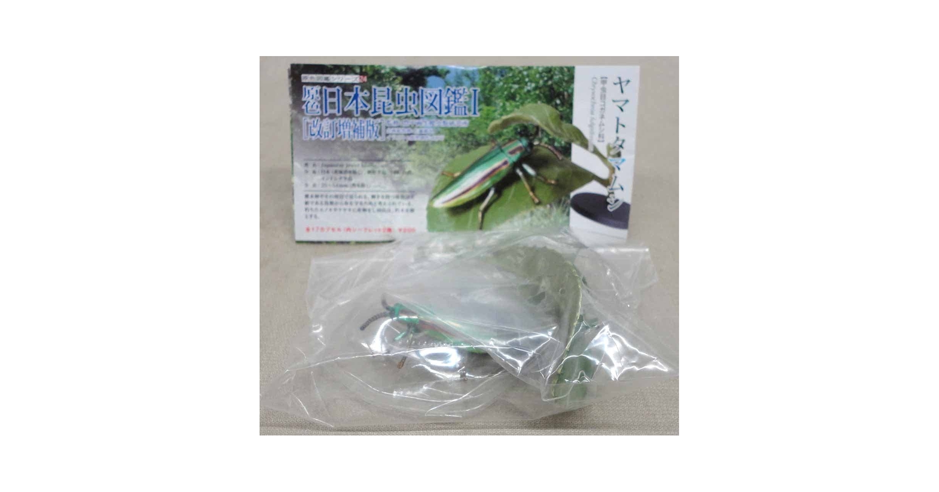Amazon | 原色日本昆虫図鑑Ⅰ改訂増補版 ヤマトタマムシ 未開封