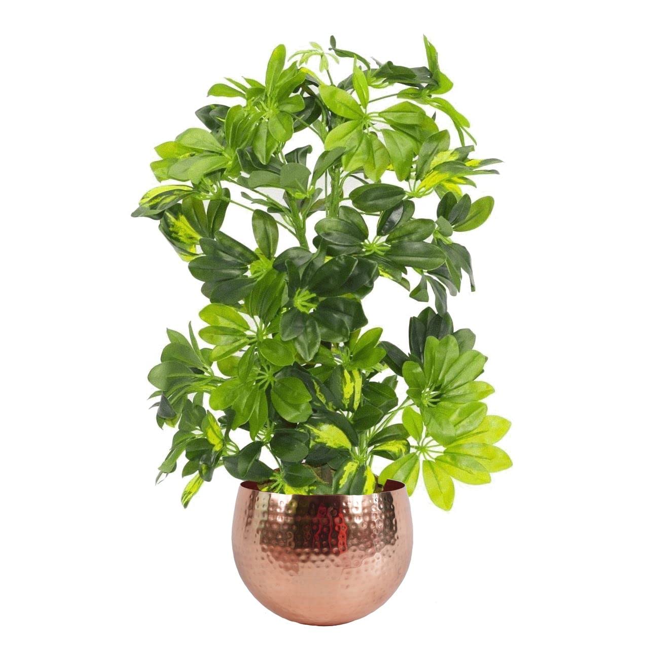 Leaf Artificial Plant - Gold Capella - 75cm - Green