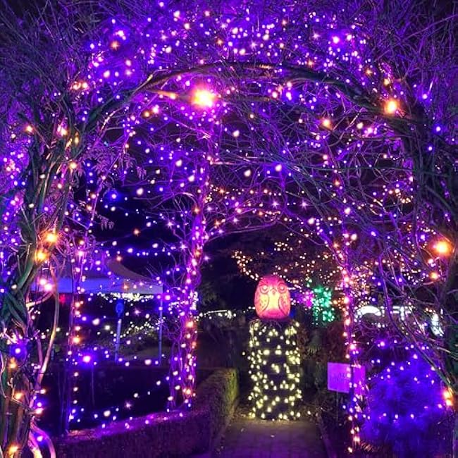 Solar Halloween Lights,39FT 100LED Orange & Purple String Lights,Halloween Solar Lights Outdoor with 8 Modes Waterproof for Bedroom Patio Garden Party Yard Decoration