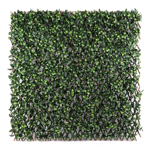 Royal Shade Gardenia Expandable Artificial Ivy Hedge Privacy Screen, Outdoor Garden Decorations...