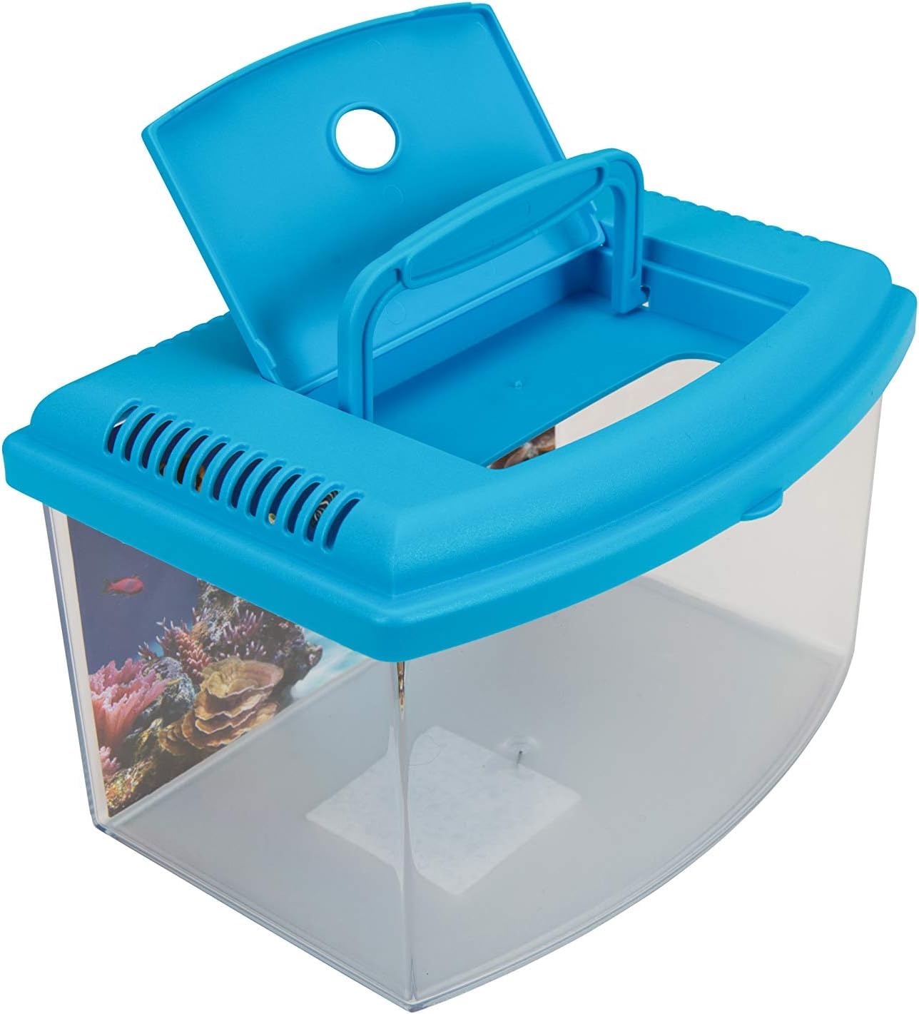 Acquario Georplast 5,5 Litri Con Coperchio - Colori Assortiti (Verde, Rosso, Blu) - Foto 3