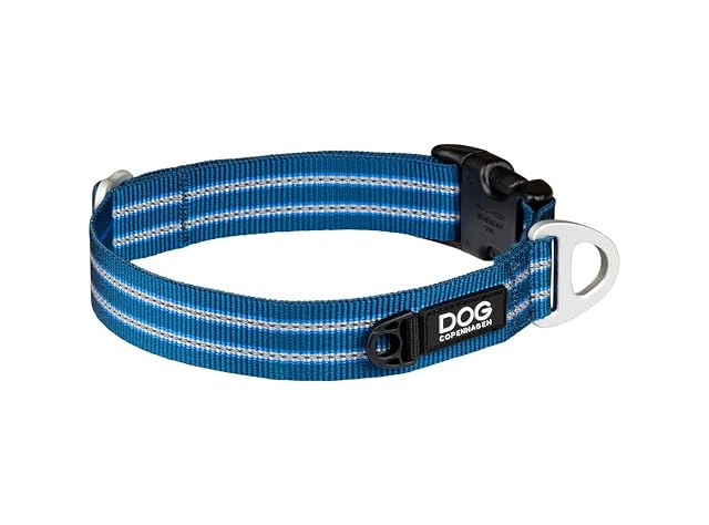 Dog Copenhagen - Collar con Estilo Urbano, Talla L, Color Azul