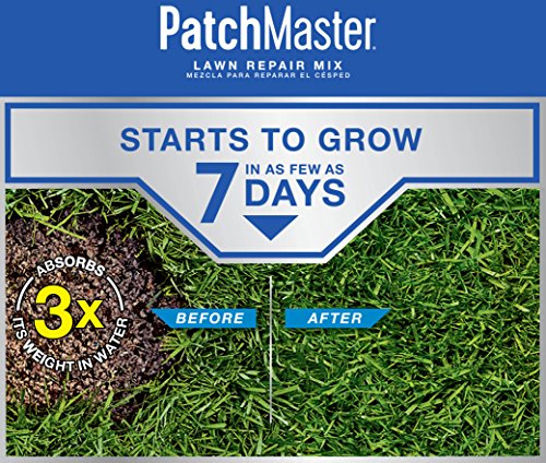 Scotts 14905 Patchmaster Lawn Repair Mix Sun + Shade Mix, Combination Grass Seed thumb #5