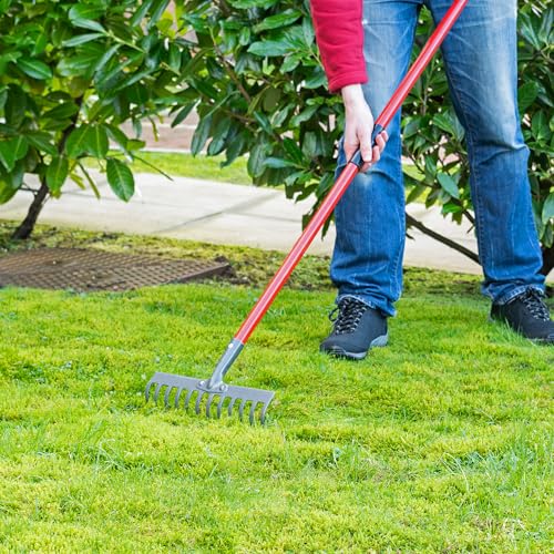 Hardys Garden Rake 12 Tooth for Leaves and Soil - Image 2