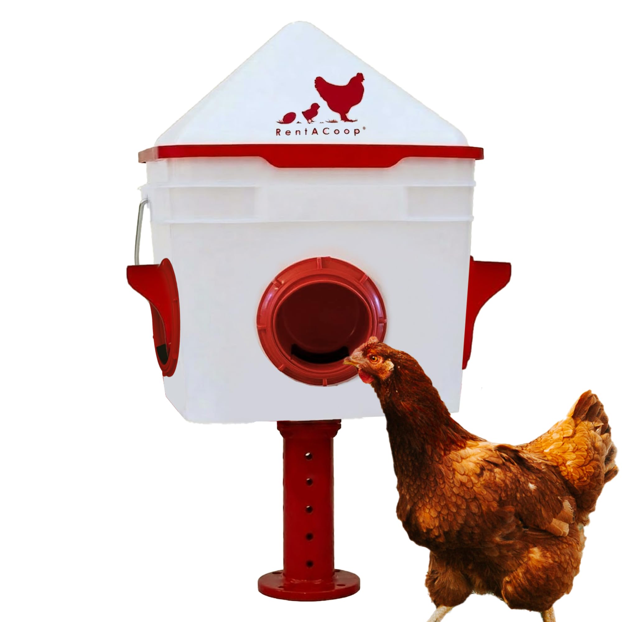 RentACoop Chick2Chicken Feeder