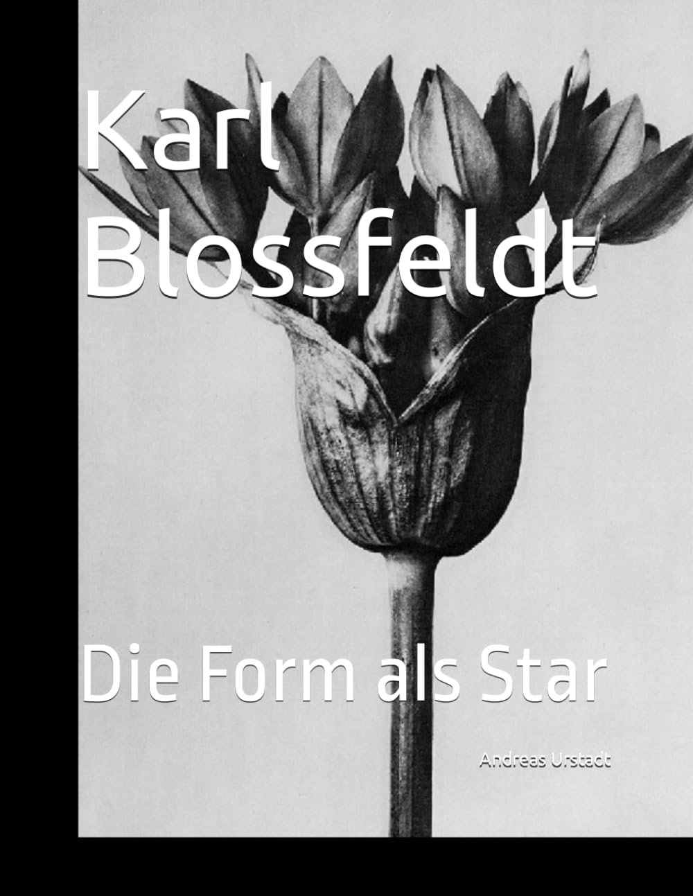 Karl Blossfeldt: Die Form als Star