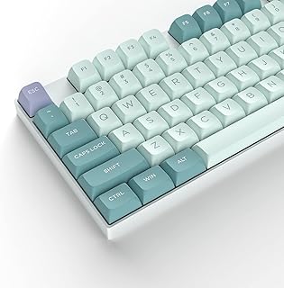 dagaladoo XVX 189 Keys Double Shot Keycaps, PBT Custom Keyboard Keycaps Full Set, XVX Profile Keycaps for 60% 65% 70% 100% Cherry Gateron MX Switches Mechanical Keyboard, Duck Egg Blue/Light Blue