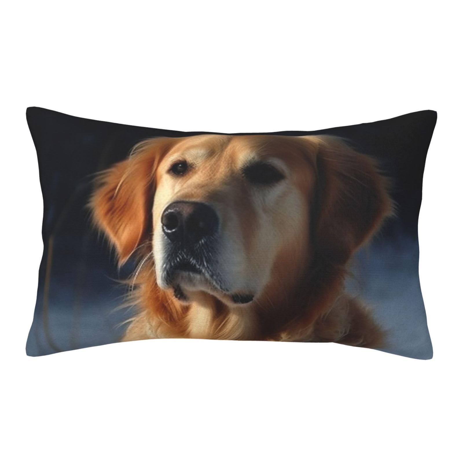 Velvet Pillowcases 14"x20" Ultra Soft Breathable Pillow Cases, Luxury Fuzzy Throw Pillow Covers with Zipper, Golden Retriever Pillow Shams All Seasons Decorative Cushion Cases for Couch