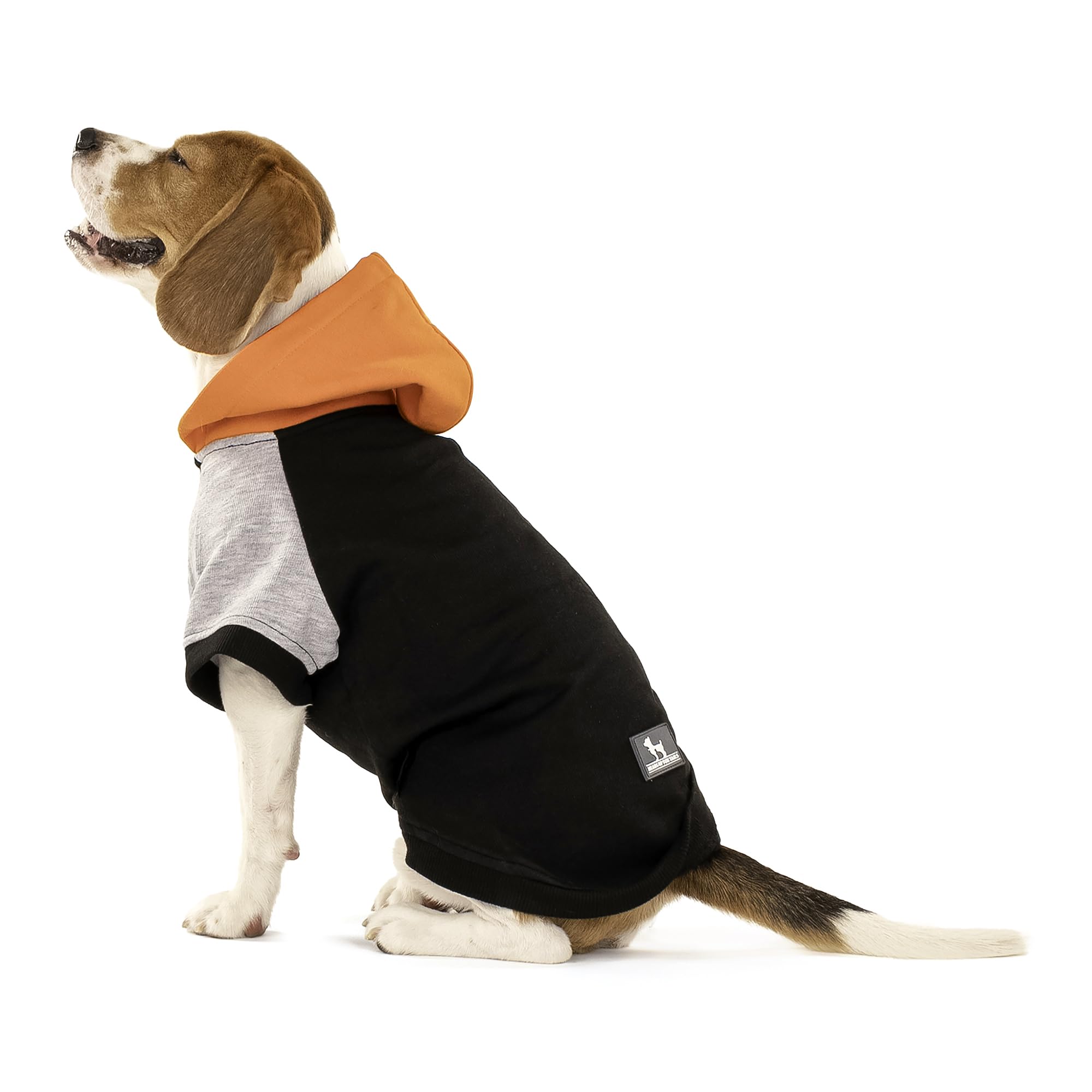 HUFT Colour Block Hoodie Sweatshirt for Pets- Black - 4XL (B0CQ24BVMD) Amazon Price History, Amazon Price Tracker