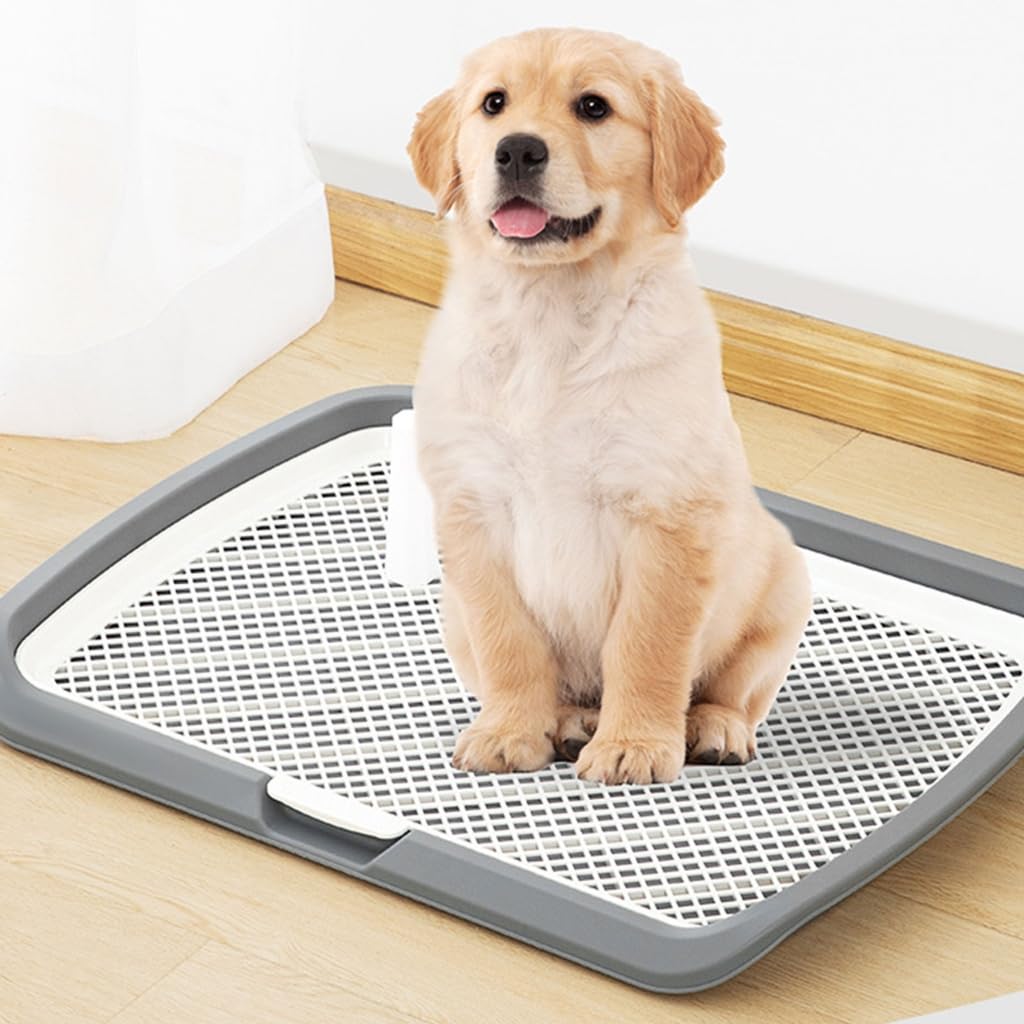 Grand bac d'urinoir pour chien avec vertical pour chien