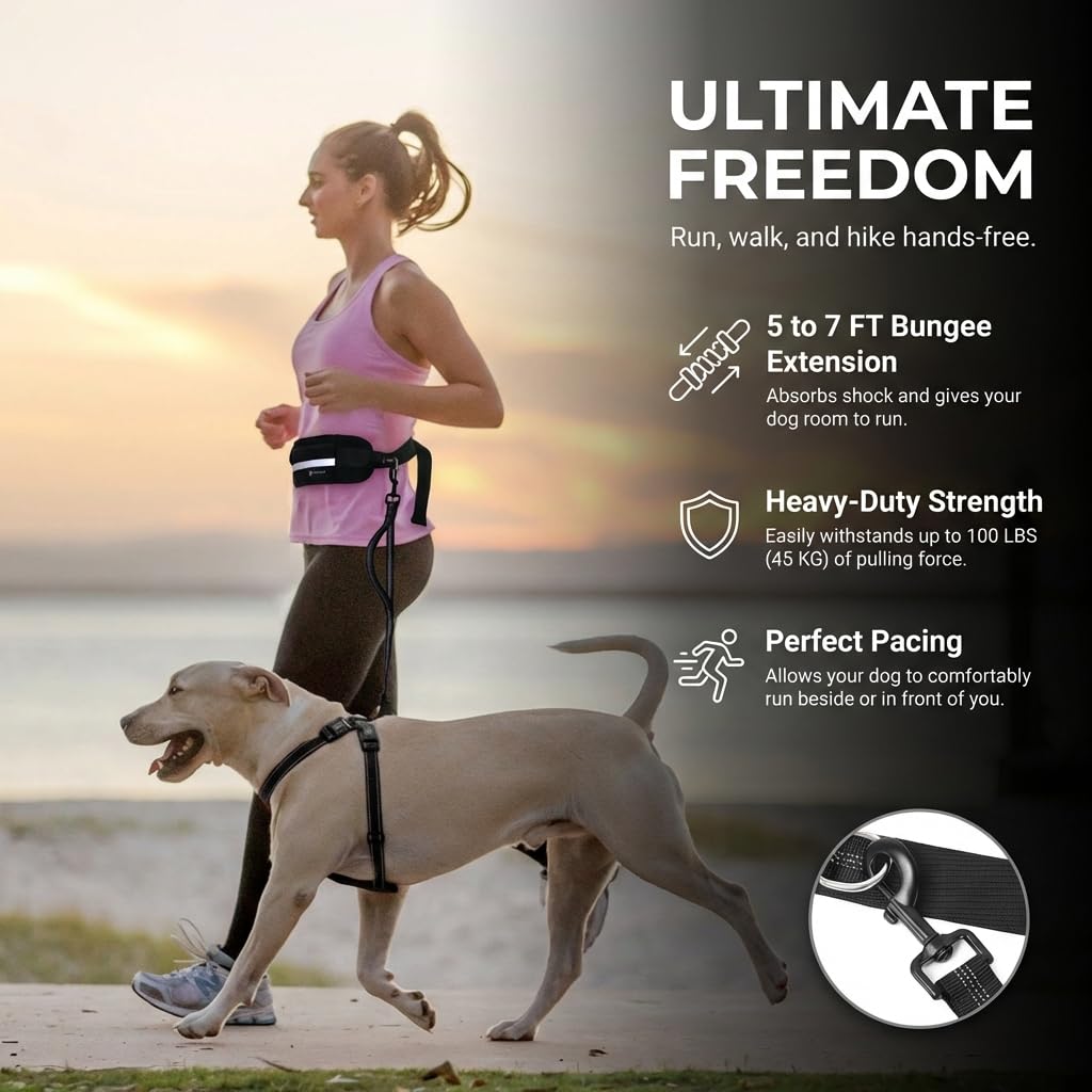 Tails & Tales Correa para perro manos libres con riñonera, asas acolchadas dobles y tira reflectante, elástica que absorbe los golpes para perros grandes y medianos de hasta 100 libras, correr