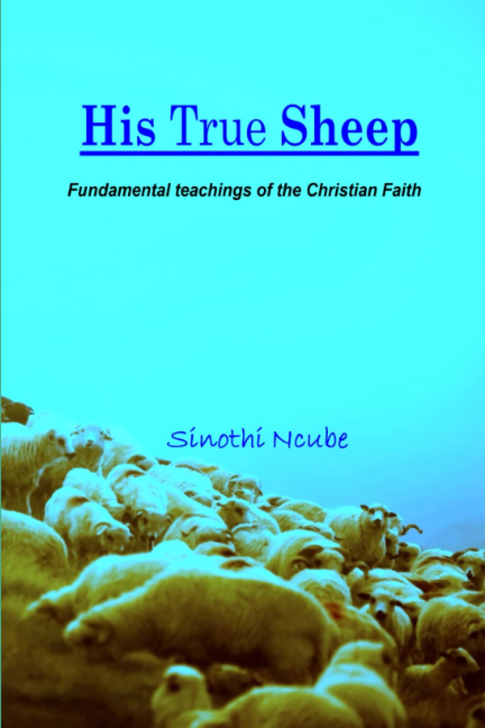 His True Sheep: Fundamental Teachings of the Christian Faith: Amazon.co ...