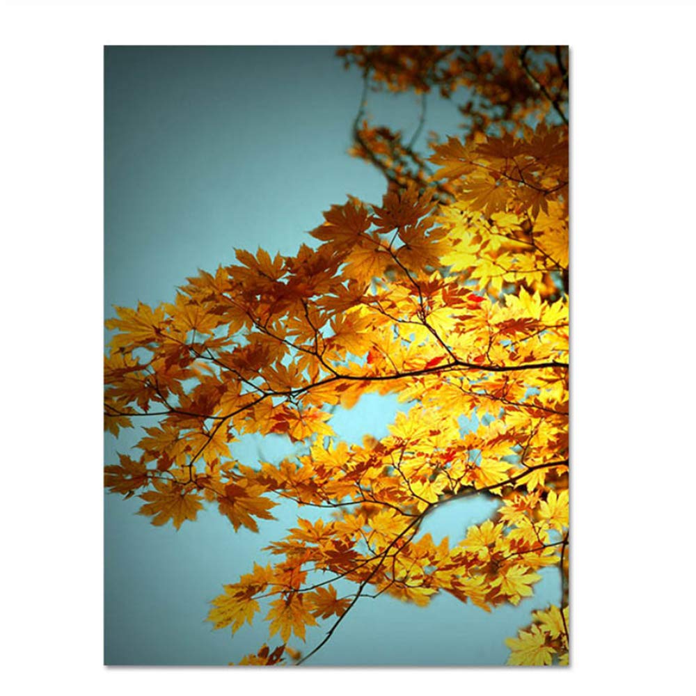 XIANGPEIFBH Quadro su Tela Dipinto su Tela Quadro su Tela Poster e Stampa Quadro Nordico per Soggiorno Decorazione Cornice 60x80cm (23,6"x31,5) con Cornice