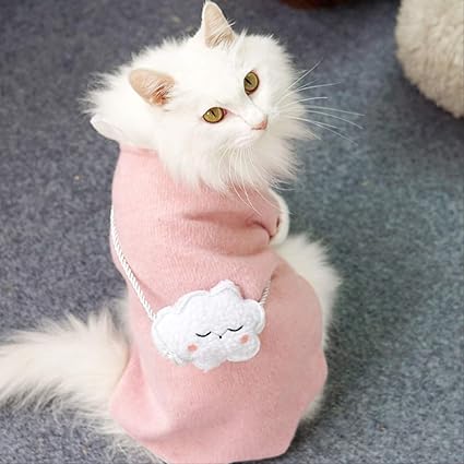 kitten clothes