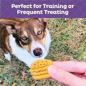 Wellness old mother hubbard grillin grub dog biscuits natural seasonal summer inspired treats bacon cheese hickory smoke flavor 6 ounce bag  urban country home decor