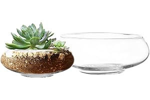 Royal Imports Glass Terrarium Bowl: Versatile Vase and Planter