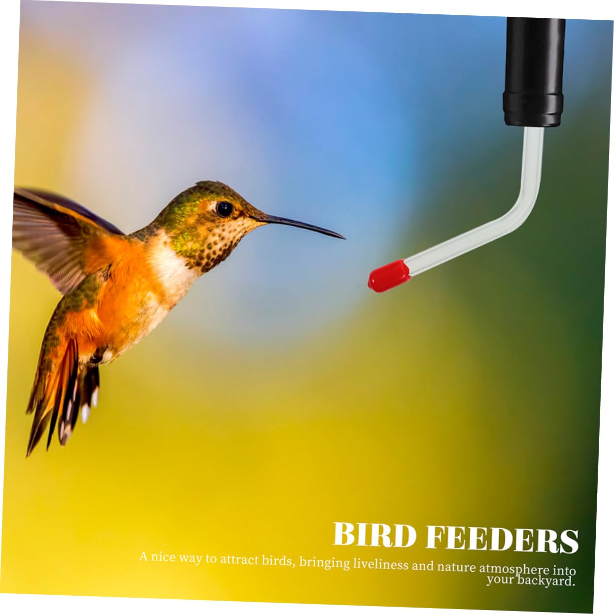 TOYANDONA 3 Series Comedero para Colibríes Bebiendo Alimentador Comedero Multifunción para Colibríes Sondas De Alimentacion Comederos De Colibrí Bebedero para Pájaros Vidrio 3 Piezas*3