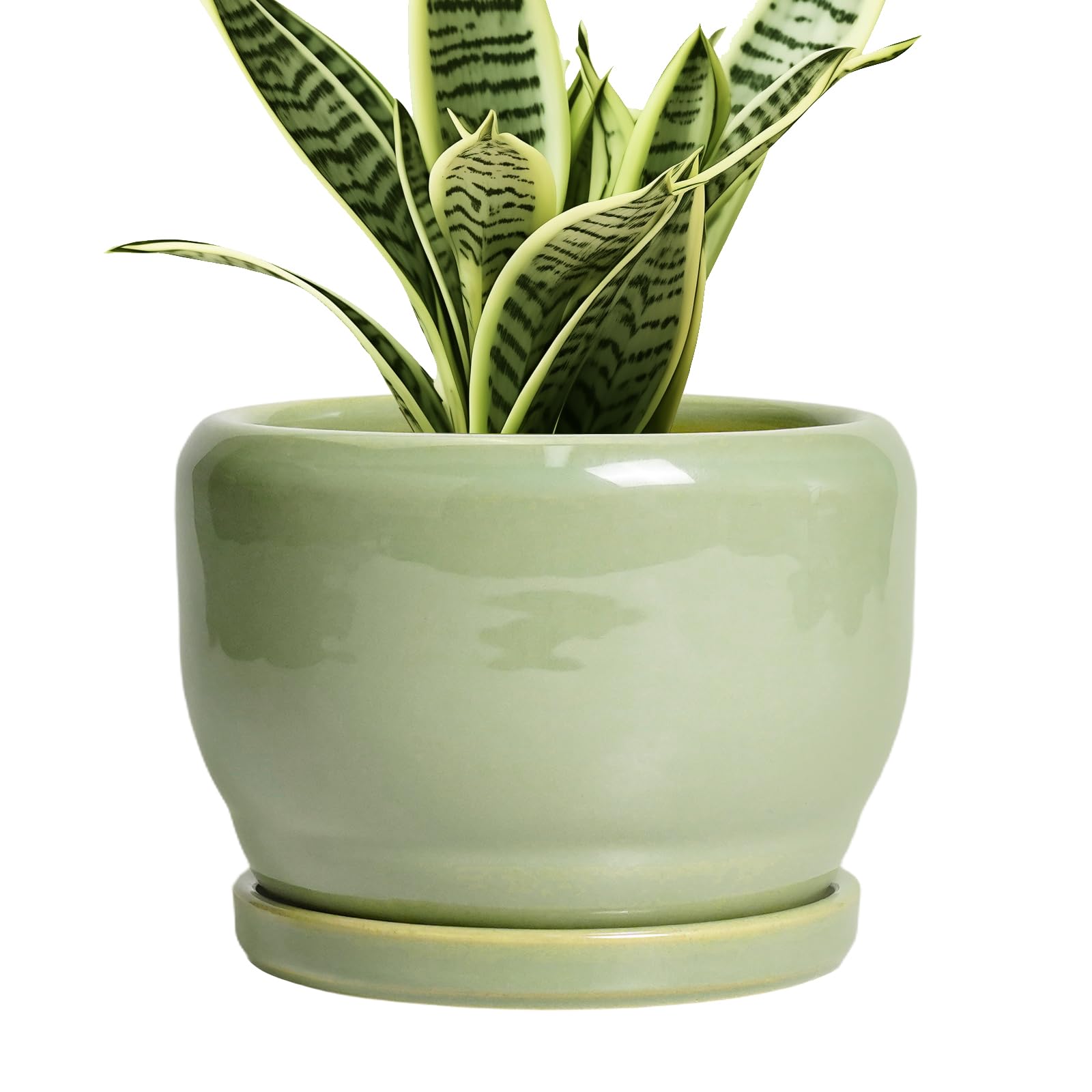 SQOWL Ceramic Pot