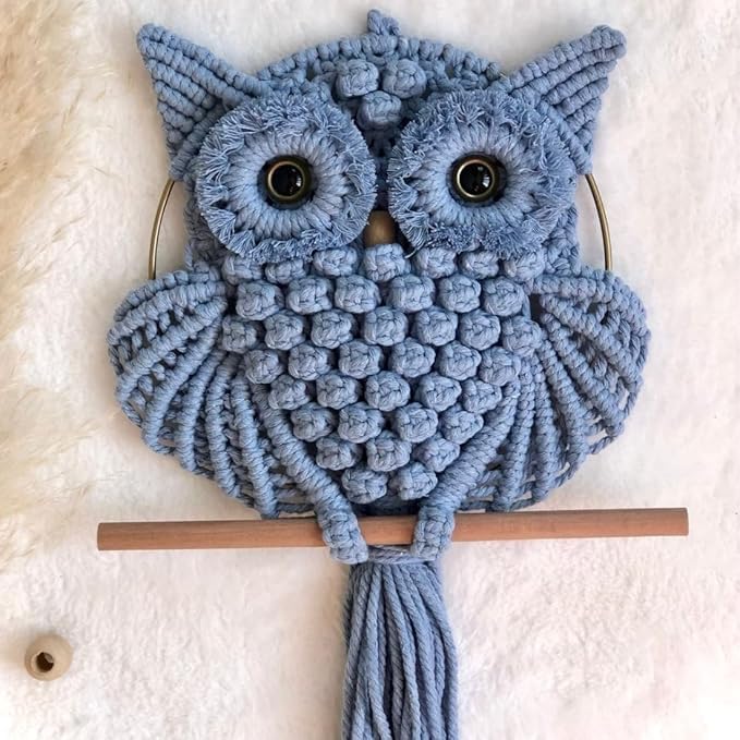 Macrame Owl Wall Hanging, Handmade Boho Decor, Owl Fiber Art, Nursery and Living Room Wall Ornament (Ice Blue)