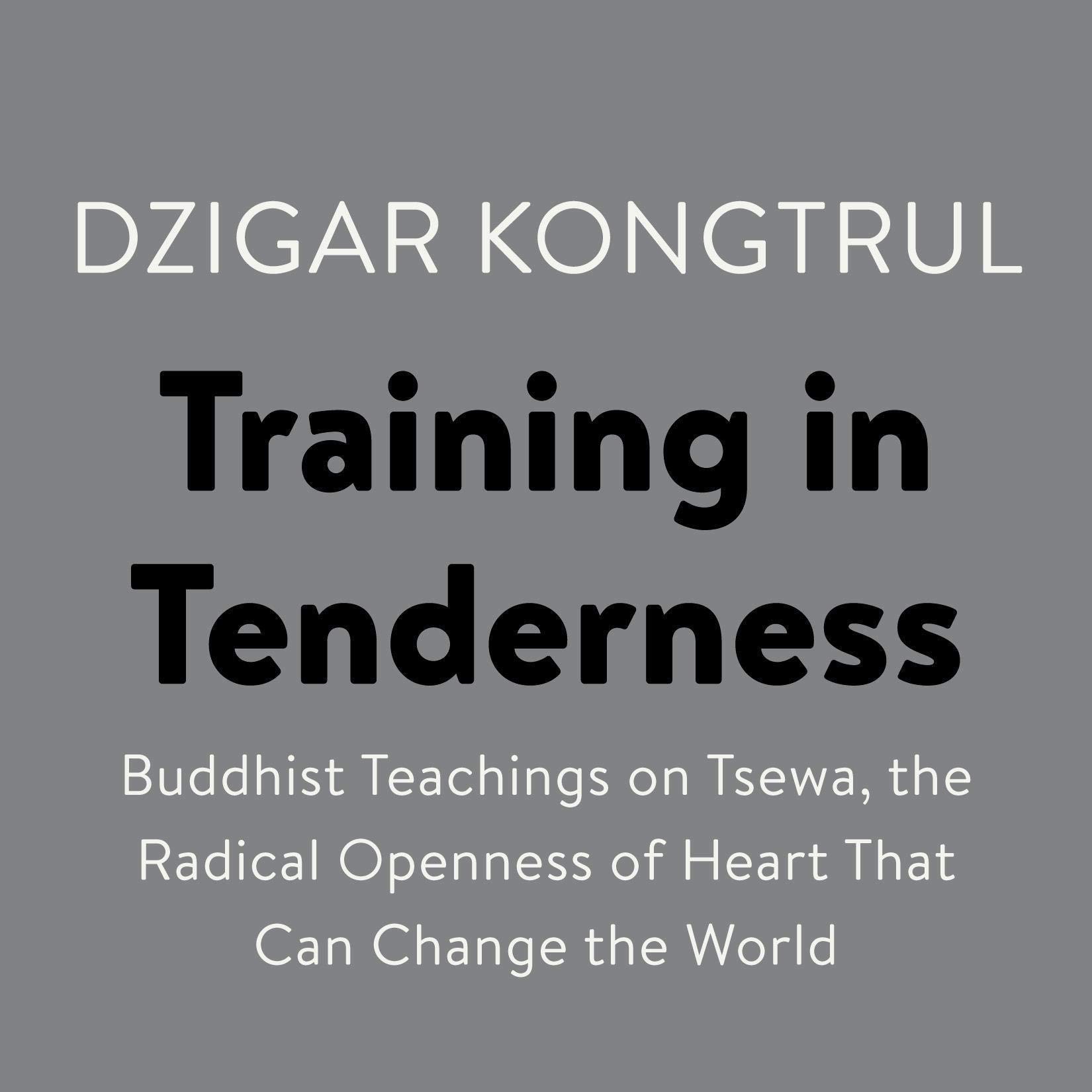 Cover art for Training in Tenderness