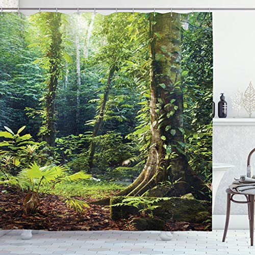 ABAKUHAUS Rainforest Shower Curtain, Morning Sunbeam Through Wild Forest Ivy on Trees Tranquility in Nature Eco