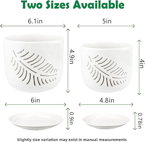 Miniatura 3 de LITUDISO Olla de orquídea de cerámica, macetas de orquídeas huecas de cerámica de 5+6 pulgadas (blanco)