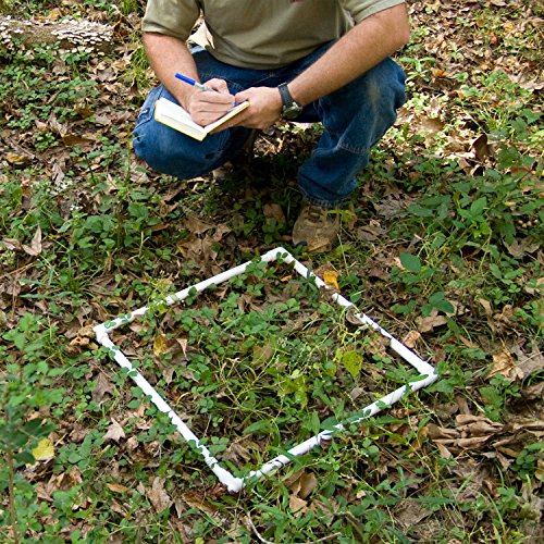 Forestry Suppliers Collapsible Sampling Square, 0.25 Meter