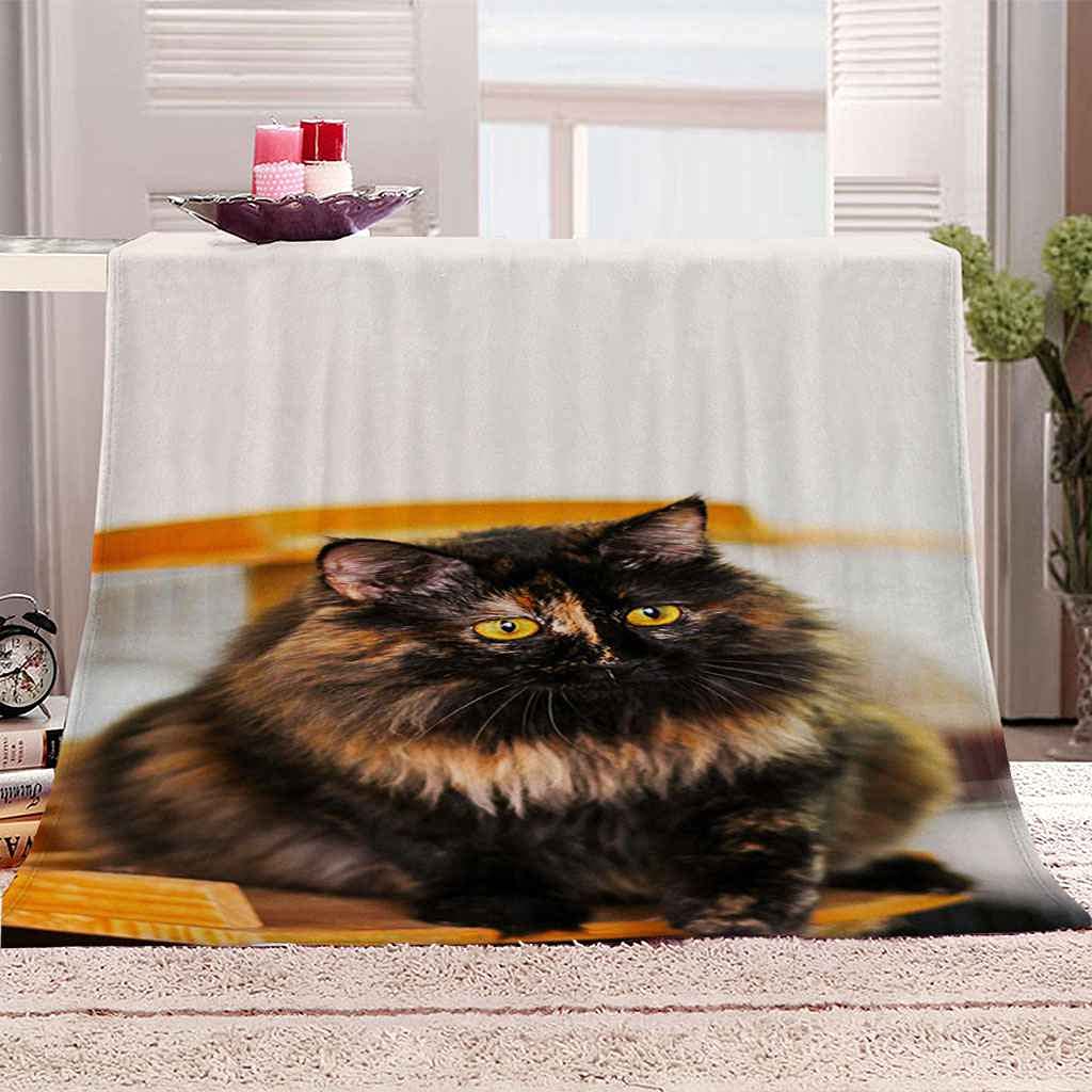 Couverture polaire chaton douce pour des soirées cocooning chaleureuses en hiver