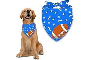 Dog Bandana: Sporty Touch of Spirit!