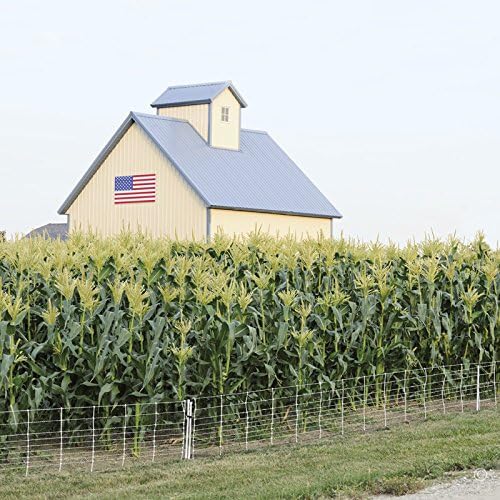 Miniatura 6 de Premier HogNet 102412 - Kit de inicio de 24 pulgadas, 100 pies, con un solo pincho, energizador solar para cerca, postes de soporte FiberTuff y