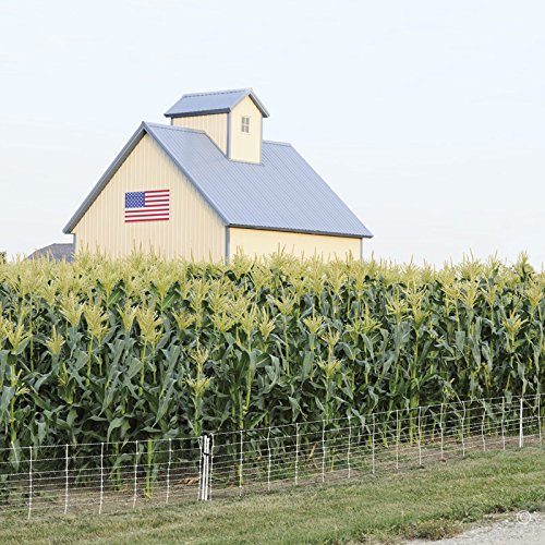 Miniatura 2 de Premier Feral Hog - Valla de red eléctrica, blanca, 102412 (24 pulgadas de alto x 50 pies de largo)