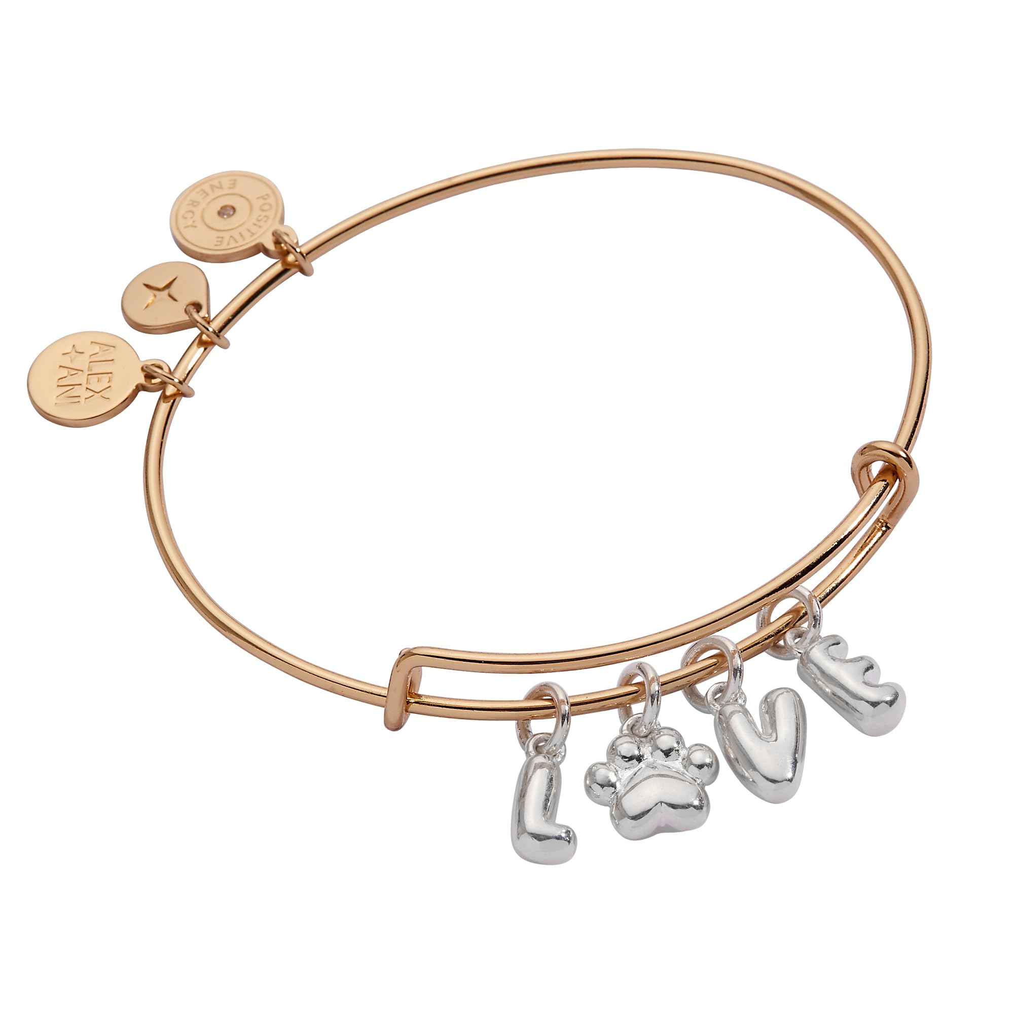 ALEX AND ANI Pet Love Bracelets