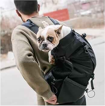 61CQdZ1318L._AC_UF350,