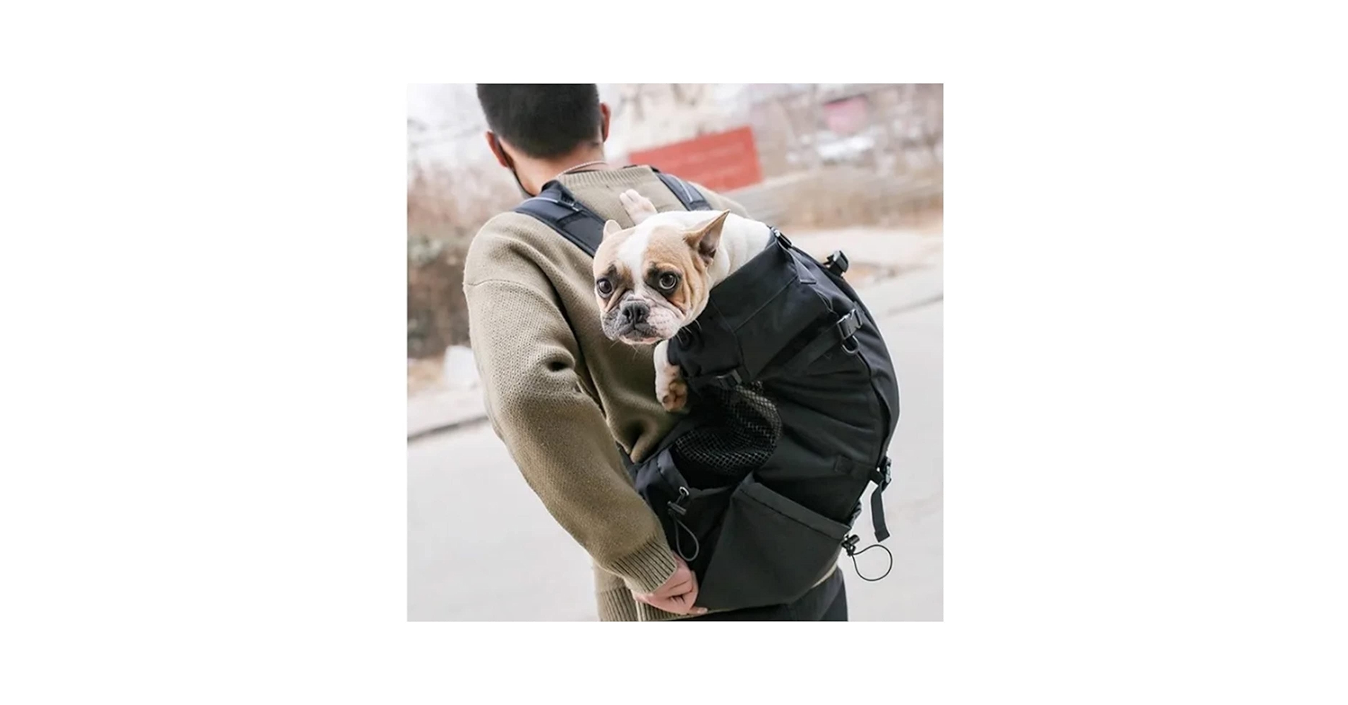 Amazon.co.jp: 犬用キャリアバックパック、ポータブル通気性