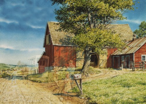 Charles Peterson - RFD