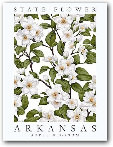 Apple Blossom, Arkansas State Flower, Poster Print, Wall Décor (12 x 16 Inches)