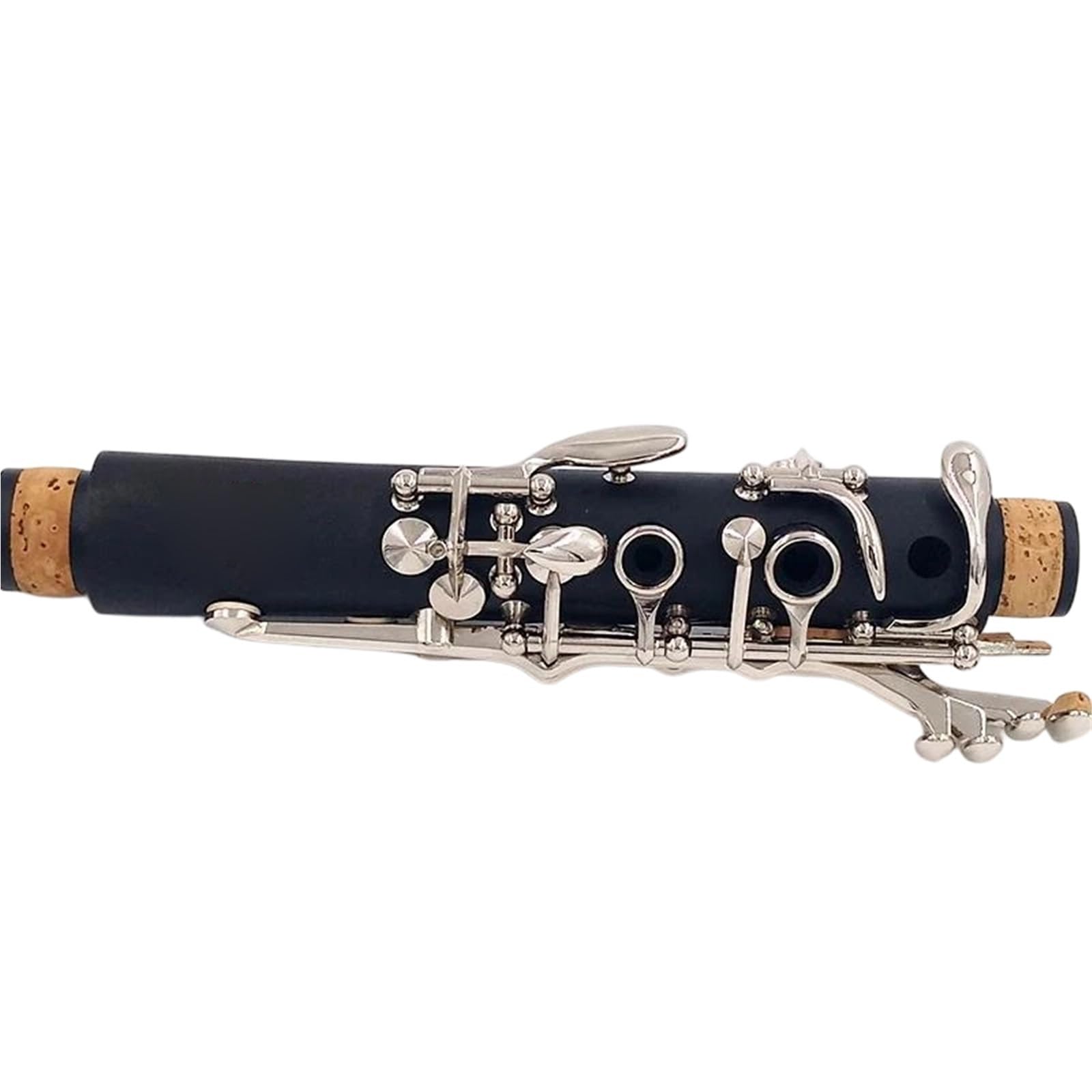 Gli Amanti Della Musica Per Principianti Di Clarinetto Professionale In Chiave C Si Esercitano A Suonare