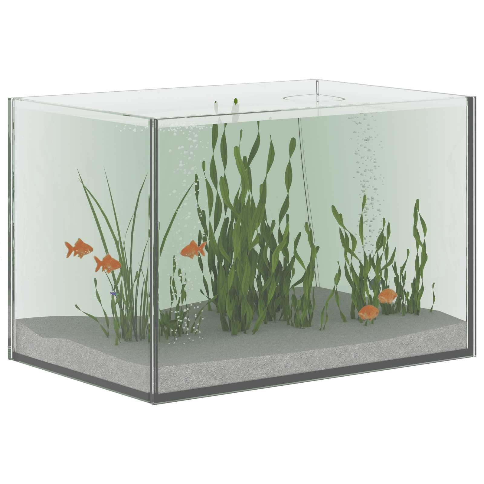 Acuario de cristal transparente 30 x 20 x 20 cm Nano tanque de peces de agua dulce con visión completa de 360 grados y diseño resistente a los golpes para Aquascape y Paludarium interiores