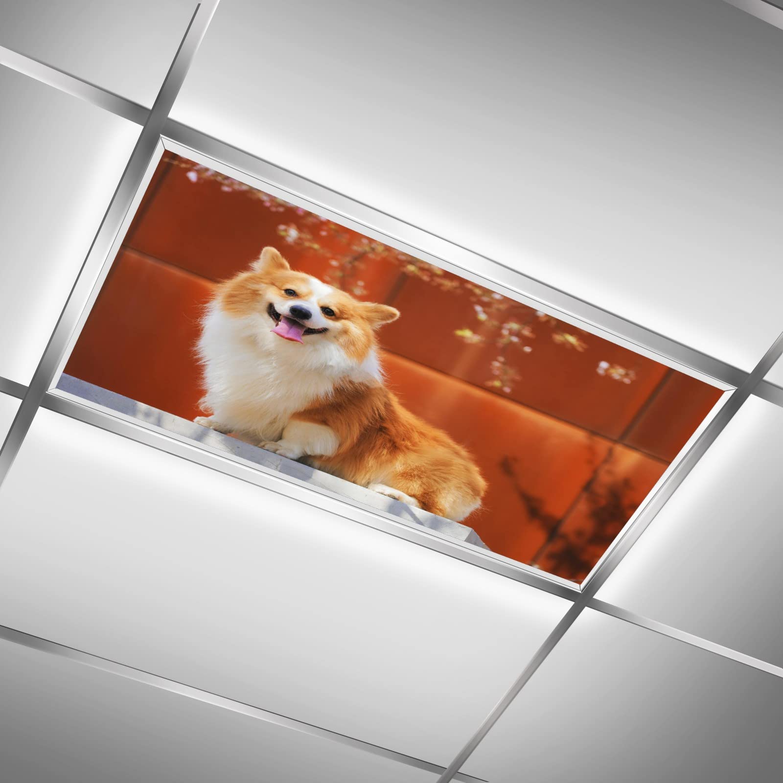 ZGONOHYE Ceiling Fluorescent Light Covers for Classroom Office