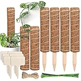 Natürliches Material: Pflanzen haften leicht an natürlichen Fasern - jeder Kokosstab ist mit Kokosfasern bedeckt, einer natürlichen Faser, die aus Kokosnussschalen gewonnen wird. Dieses organische Material hilft den Pflanzen, zu wachsen und Wurzeln zu schlagen.