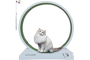31.5'' Cat Exercise Wheel: A Fun and Healthy Way to Keep Your Cat Active Indoors