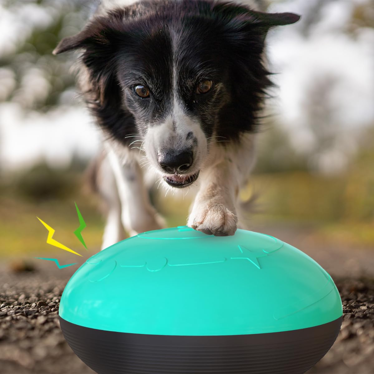 Palla Per Cane Aimé 5 In 1 - Al Sapore Di Manzo, 6 Cm, Indistruttibile | Gioco Interattivo Per Stimolare I Sensi