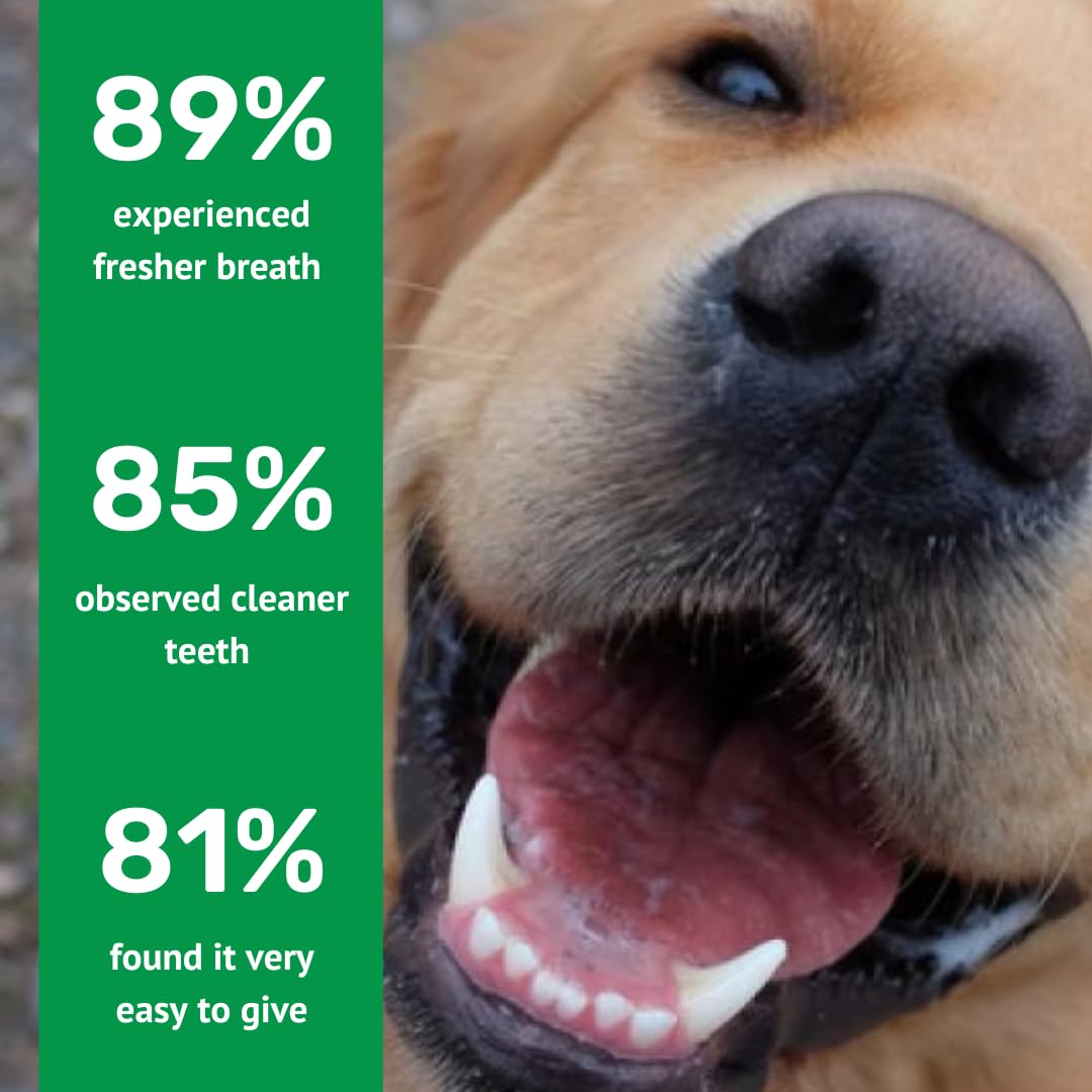 Absolut Pet Dental Powder for Dogs, Plaque, Tartar & Breath | 30 Servings 3